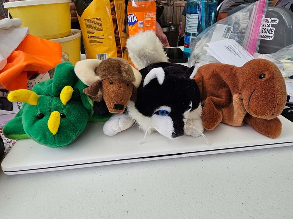Ty Teenie Beanie Babies Rex The Dinosaur Plush Toy